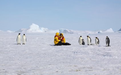 Антарктида Путешествие