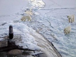 Радиация на Северном Полюсе: Арктика фонит и молит
