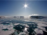 Северный Полюс Антарктида Арктика